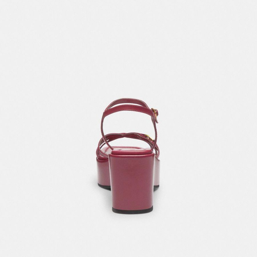 Sandálias COACH Ginny Platform Feminino Rosa | 59862JMNI