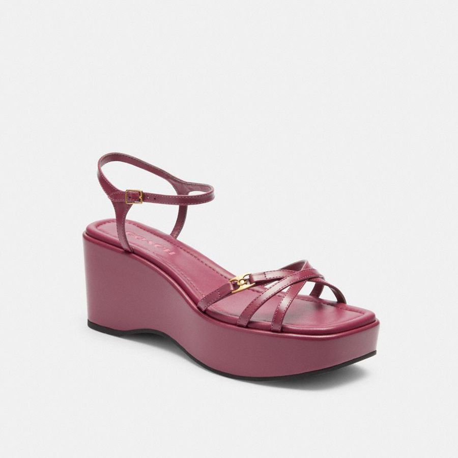 Sandálias COACH Ginny Platform Feminino Rosa | 59862JMNI