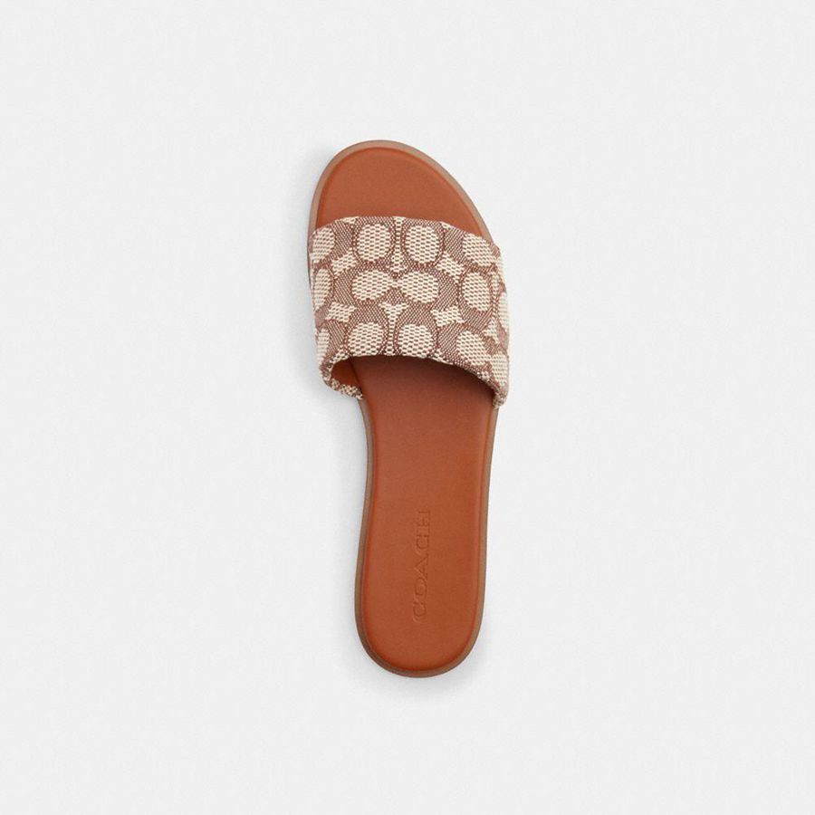Sandálias COACH Holly In Signature Textile Jacquard Feminino Marrom | 85791PGVU