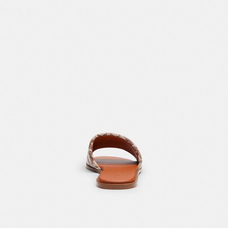 Sandálias COACH Holly In Signature Textile Jacquard Feminino Marrom | 85791PGVU