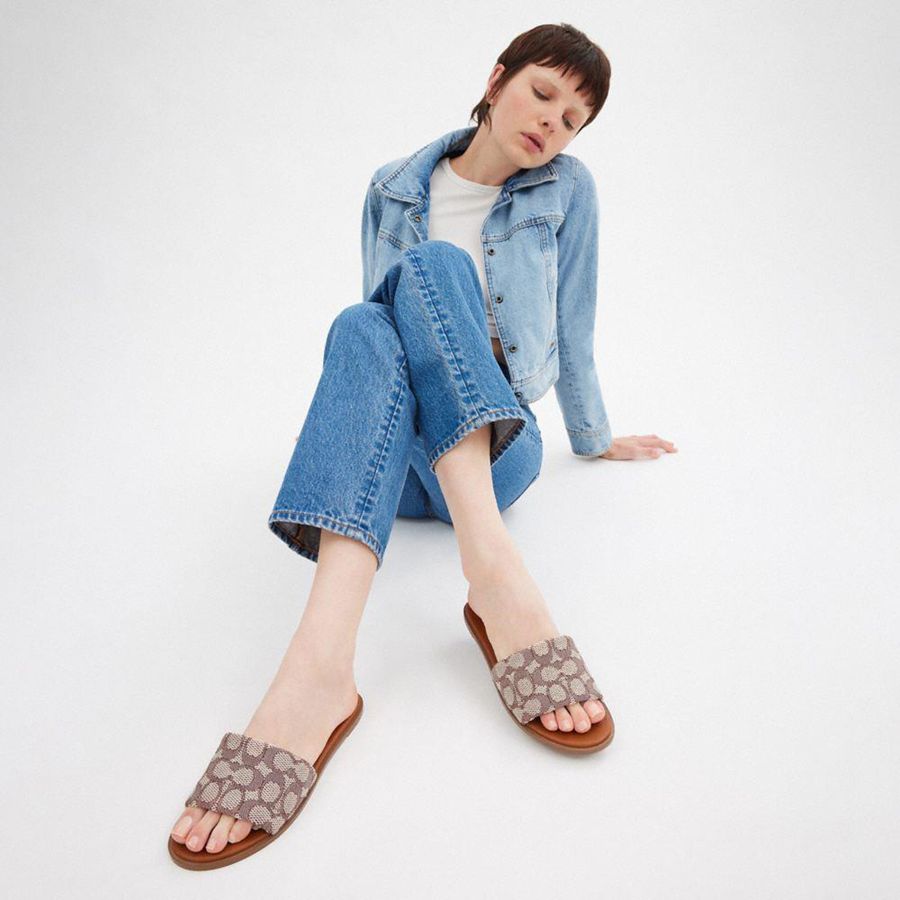 Sandálias COACH Holly In Signature Textile Jacquard Feminino Marrom | 85791PGVU