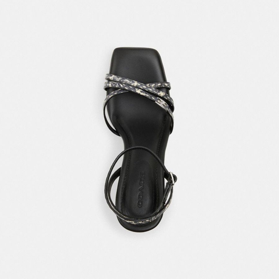 Sandálias COACH Kelsey In Snakeskin Feminino Pretas | 31084YPLT