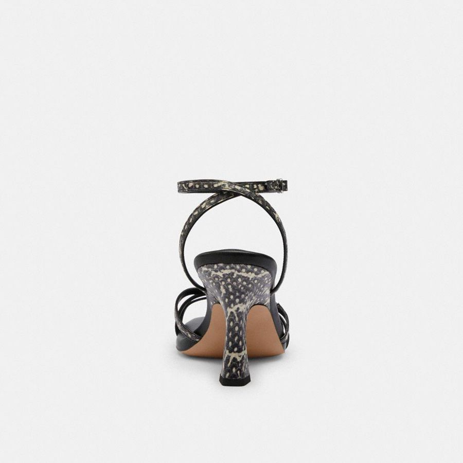 Sandálias COACH Kelsey In Snakeskin Feminino Pretas | 31084YPLT