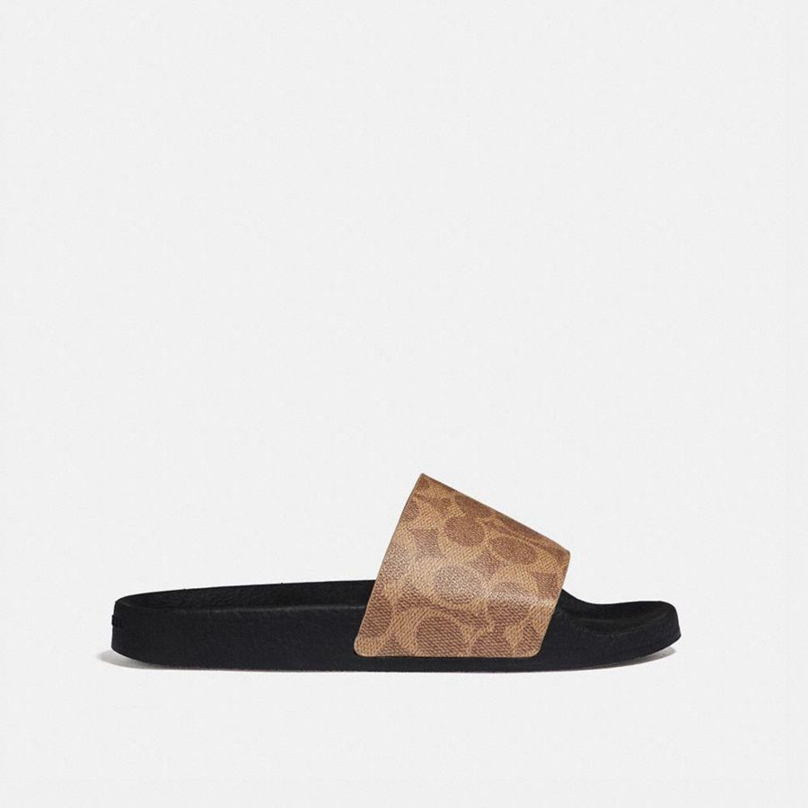 Sandálias COACH Udele Sport Slide In Signature Canvas Feminino Marrom | 69135BNIM