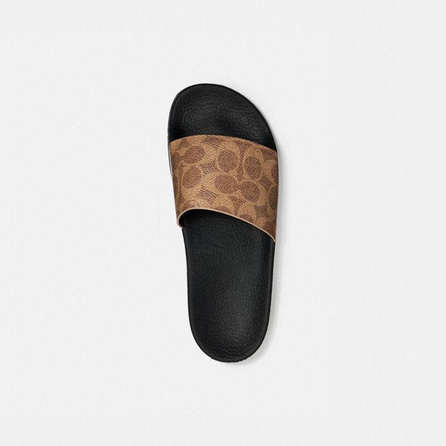 Sandálias COACH Udele Sport Slide In Signature Canvas Feminino Marrom | 69135BNIM
