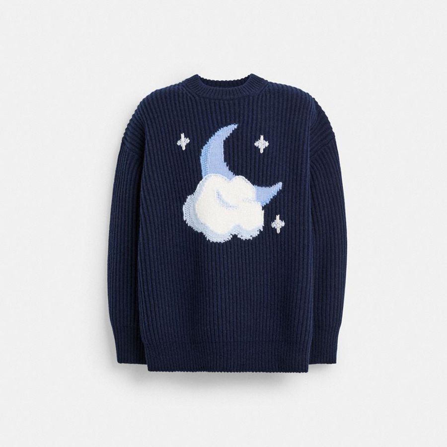Suéter COACH Chunky Graphic In Recycled Wool Masculino Azul Marinho | 89174XFPS
