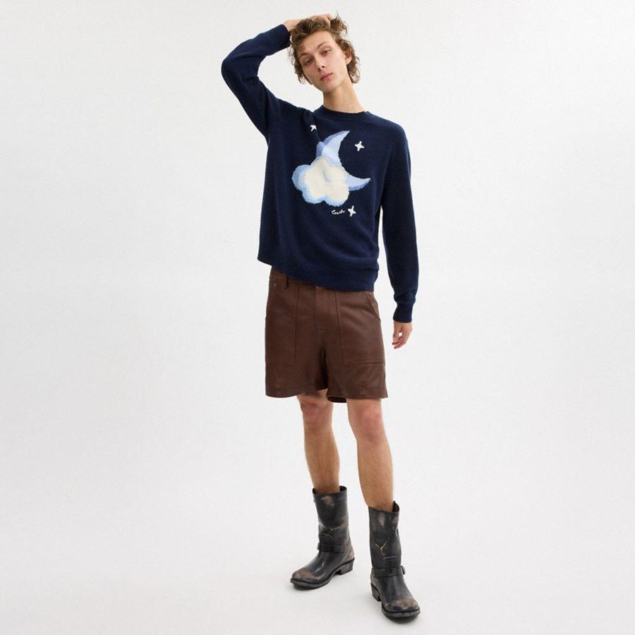 Suéter COACH Graphic Intarsia Crewneck Masculino Azul Marinho | 81206JHPT