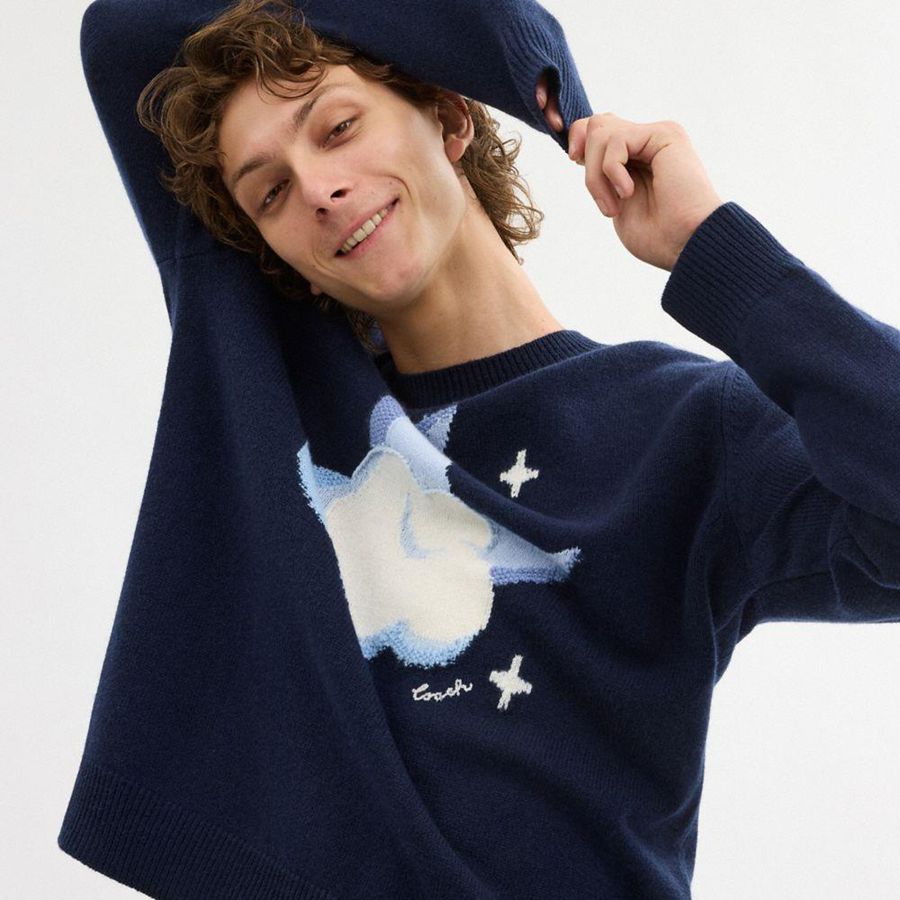 Suéter COACH Graphic Intarsia Crewneck Masculino Azul Marinho | 81206JHPT