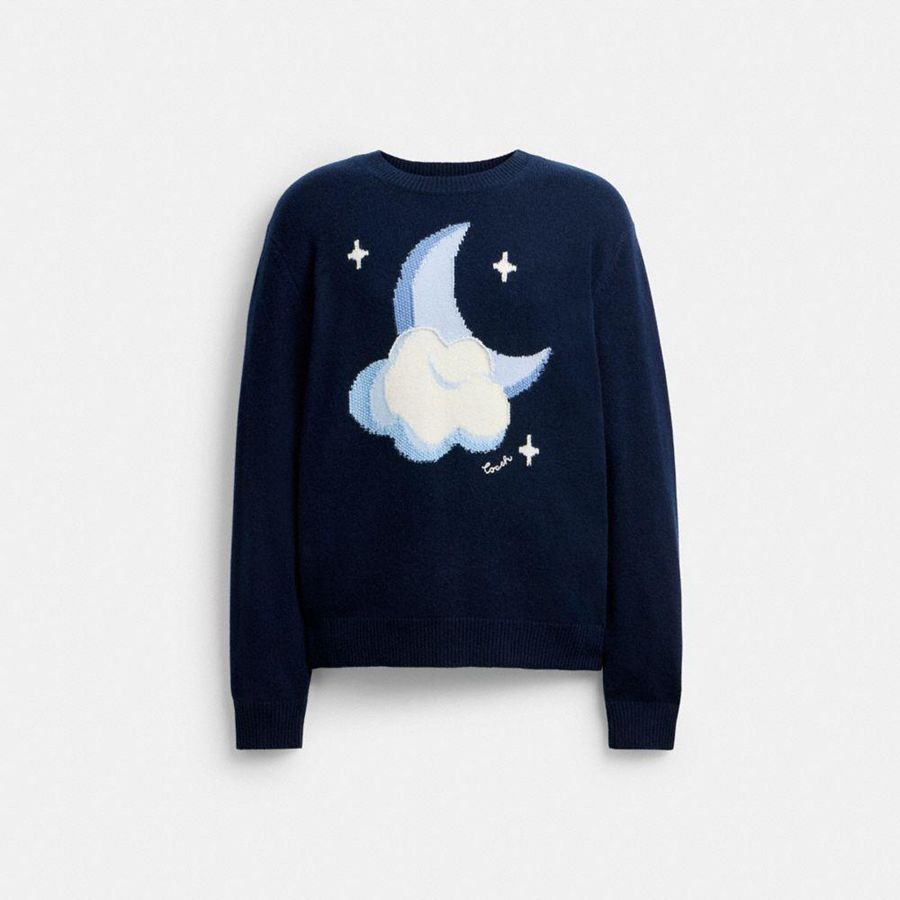 Suéter COACH Graphic Intarsia Crewneck Masculino Azul Marinho | 81206JHPT