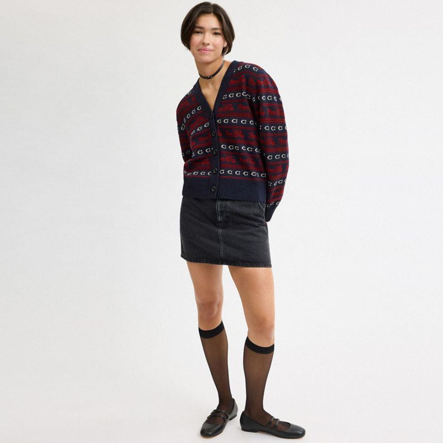 Suéter COACH Horse And Carriage Cardigan Feminino Vermelhas | 34079YMAZ