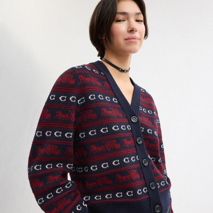 Suéter COACH Horse And Carriage Cardigan Feminino Vermelhas | 34079YMAZ