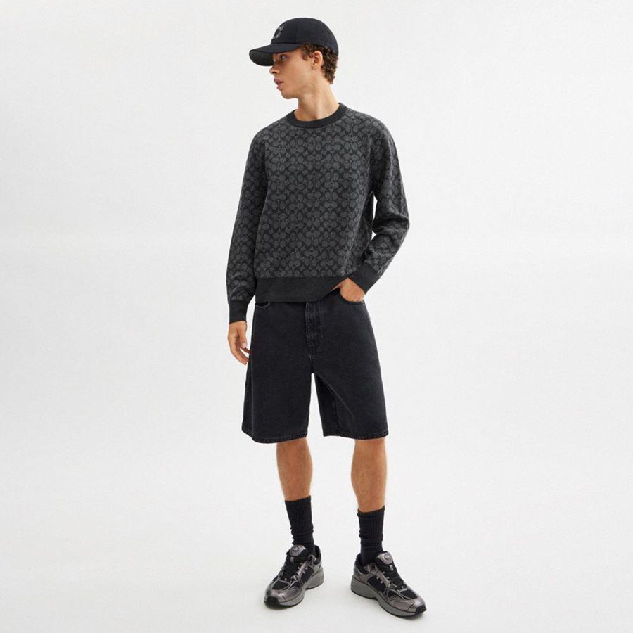 Suéter COACH Signature Crewneck Masculino Cinzentas | 14658QWGC