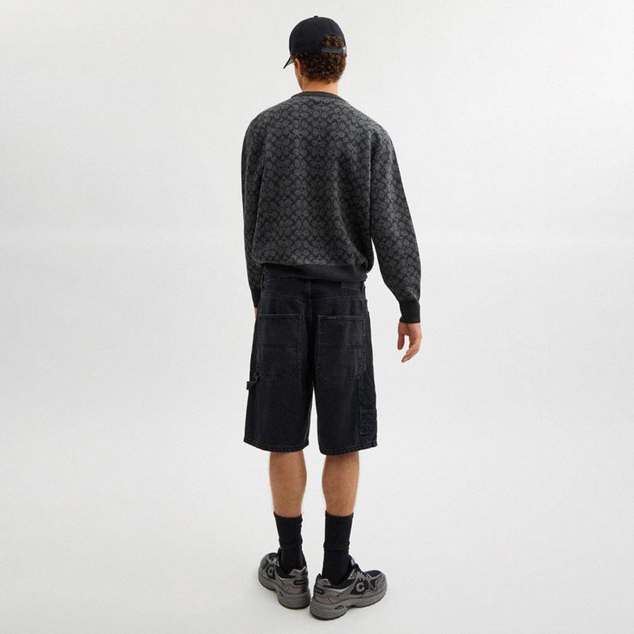 Suéter COACH Signature Crewneck Masculino Cinzentas | 14658QWGC