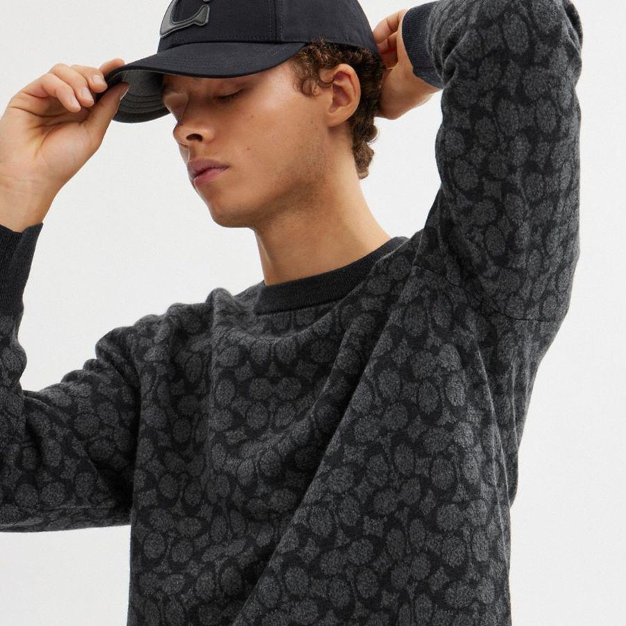 Suéter COACH Signature Crewneck Masculino Cinzentas | 14658QWGC