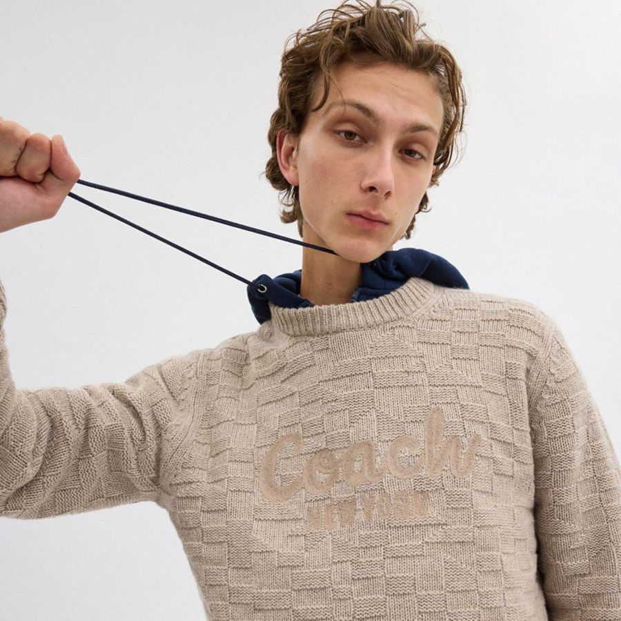 Suéter COACH Signature Knit Crewneck Masculino Bege | 50389RJWI