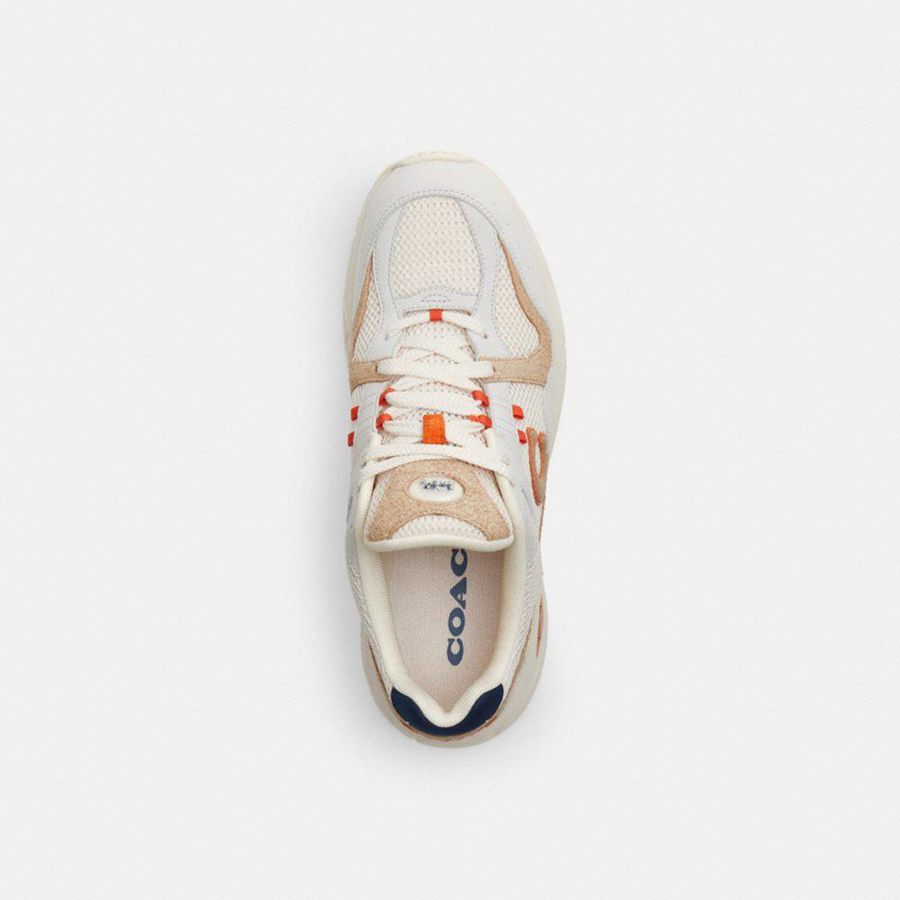 Tenis COACH C301 Masculino Branco | 91053BGLU