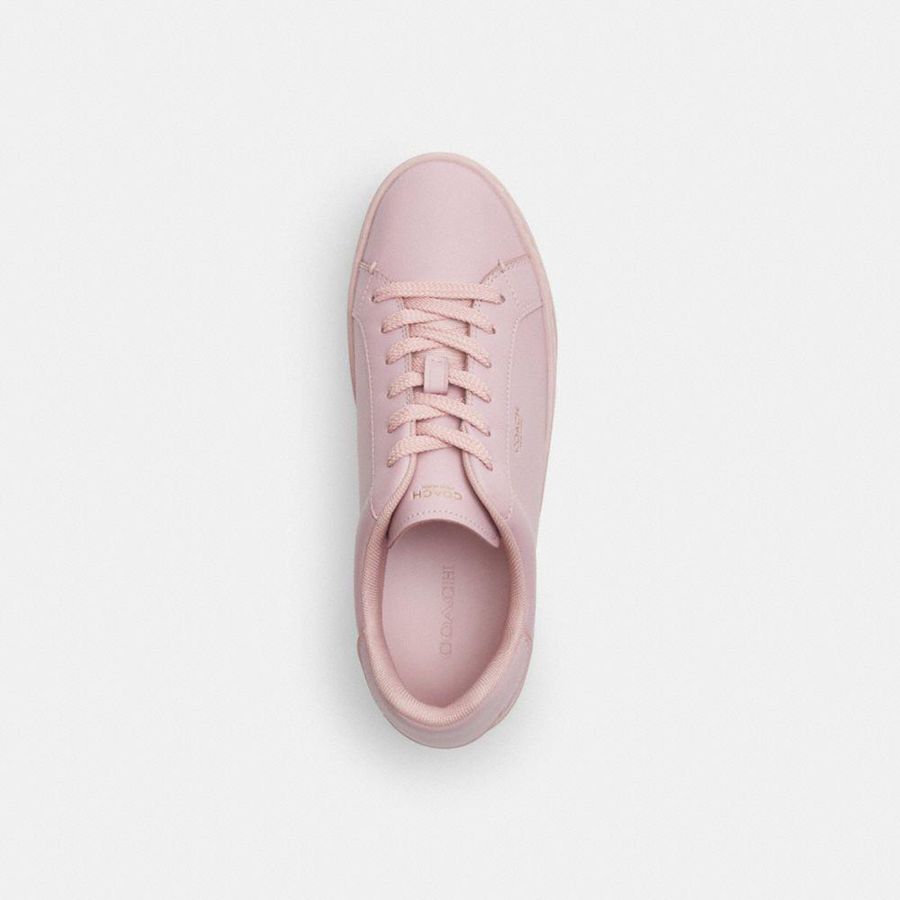 Tenis COACH High Line Feminino Rosa | 25896AFRW