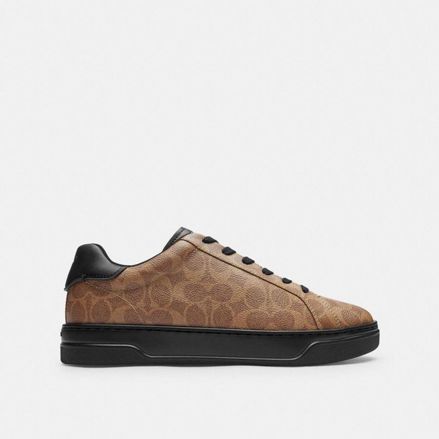 Tenis COACH High Line In Signature Canvas Masculino Marrom | 24370RLDC