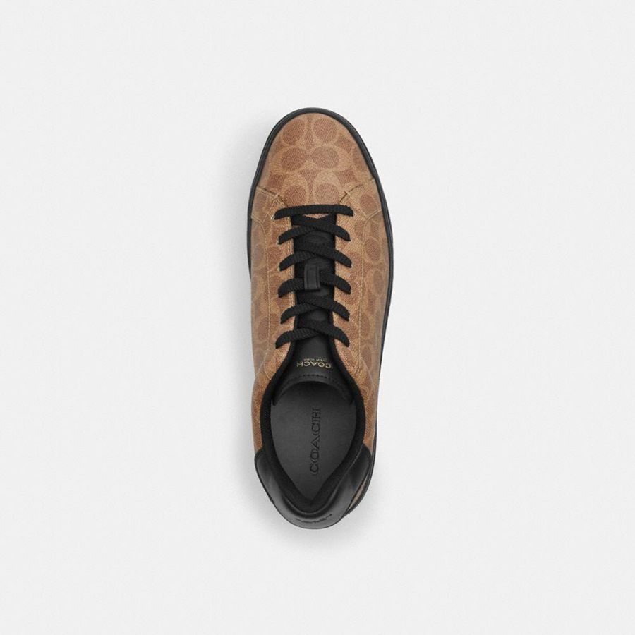 Tenis COACH High Line In Signature Canvas Masculino Marrom | 24370RLDC