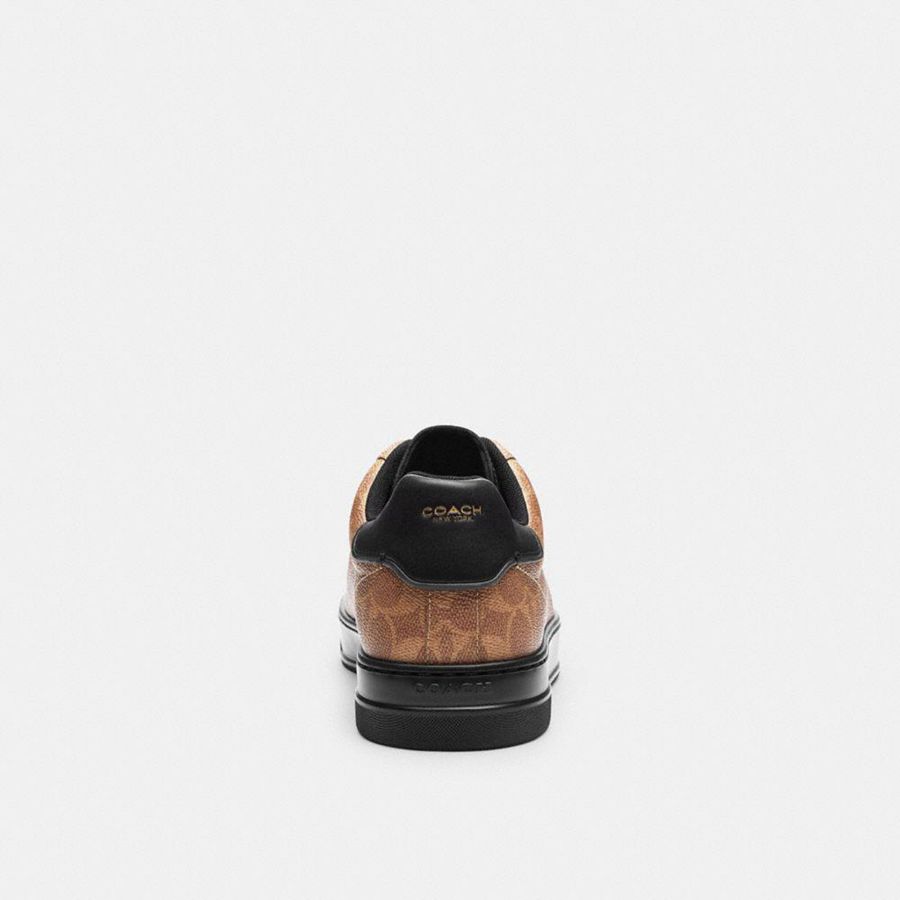 Tenis COACH High Line In Signature Canvas Masculino Marrom | 24370RLDC