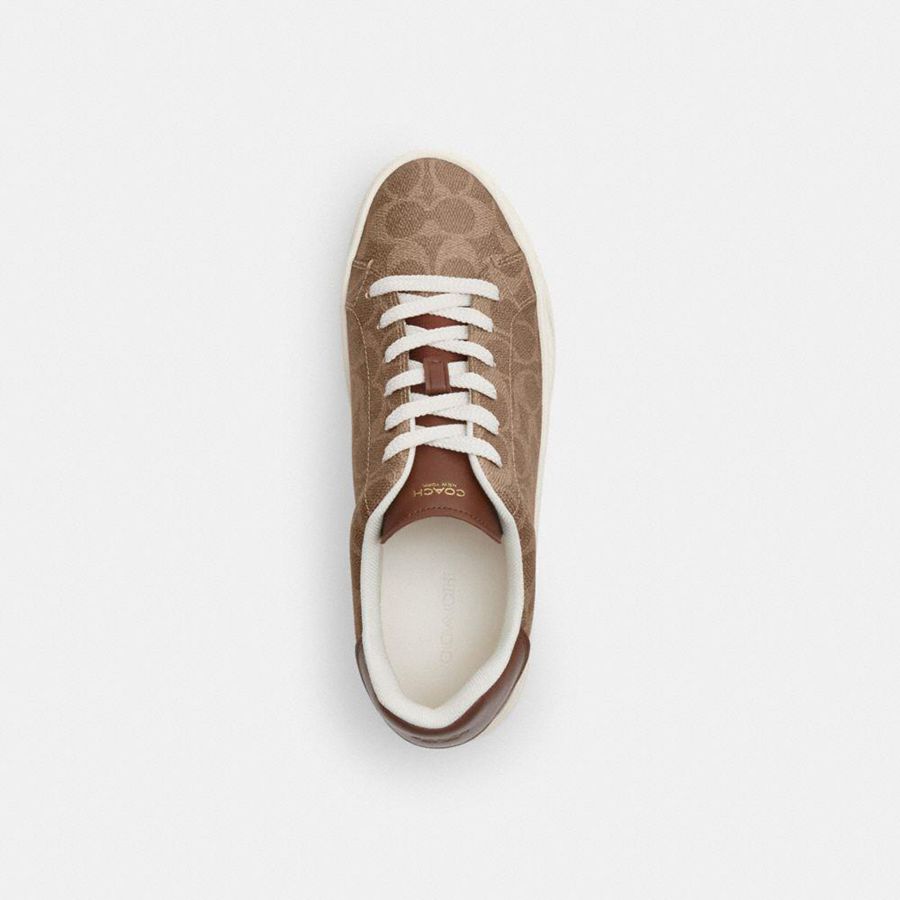 Tenis COACH High Line In Signature Canvas Feminino Marrom | 12376WFCT