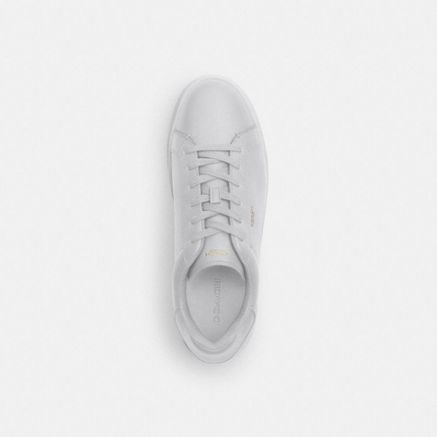 Tenis COACH High Line Masculino Branco | 43290LKVP