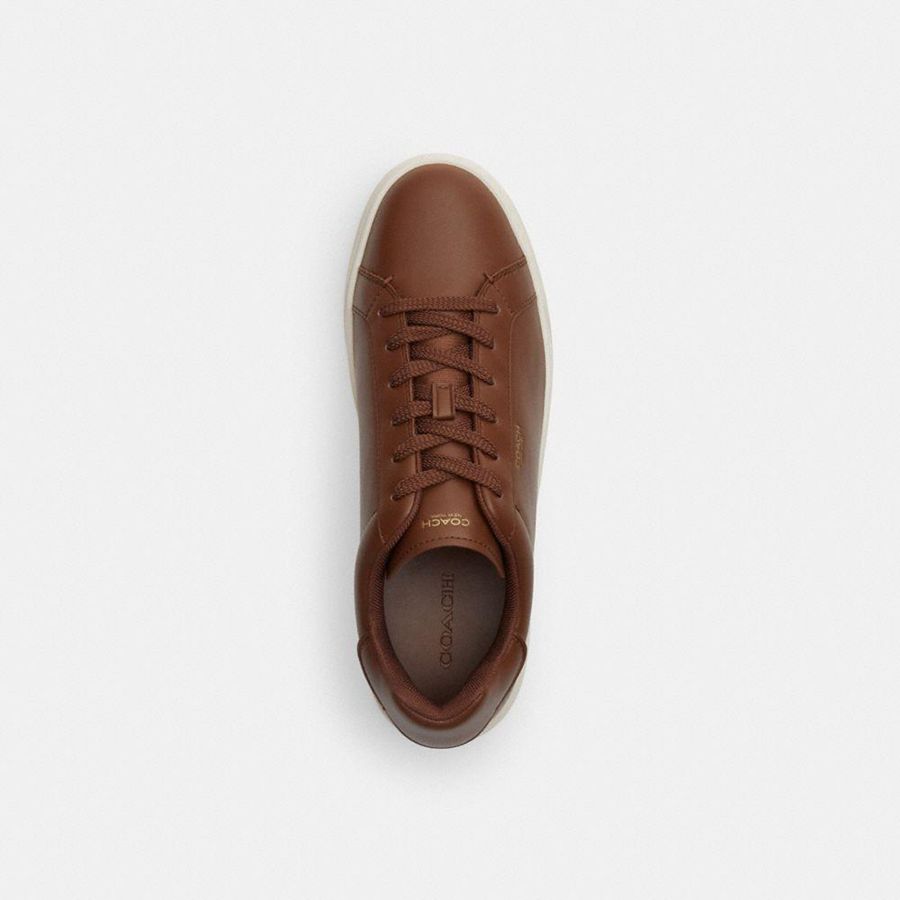 Tenis COACH High Line Masculino Marrom | 02958WFUQ