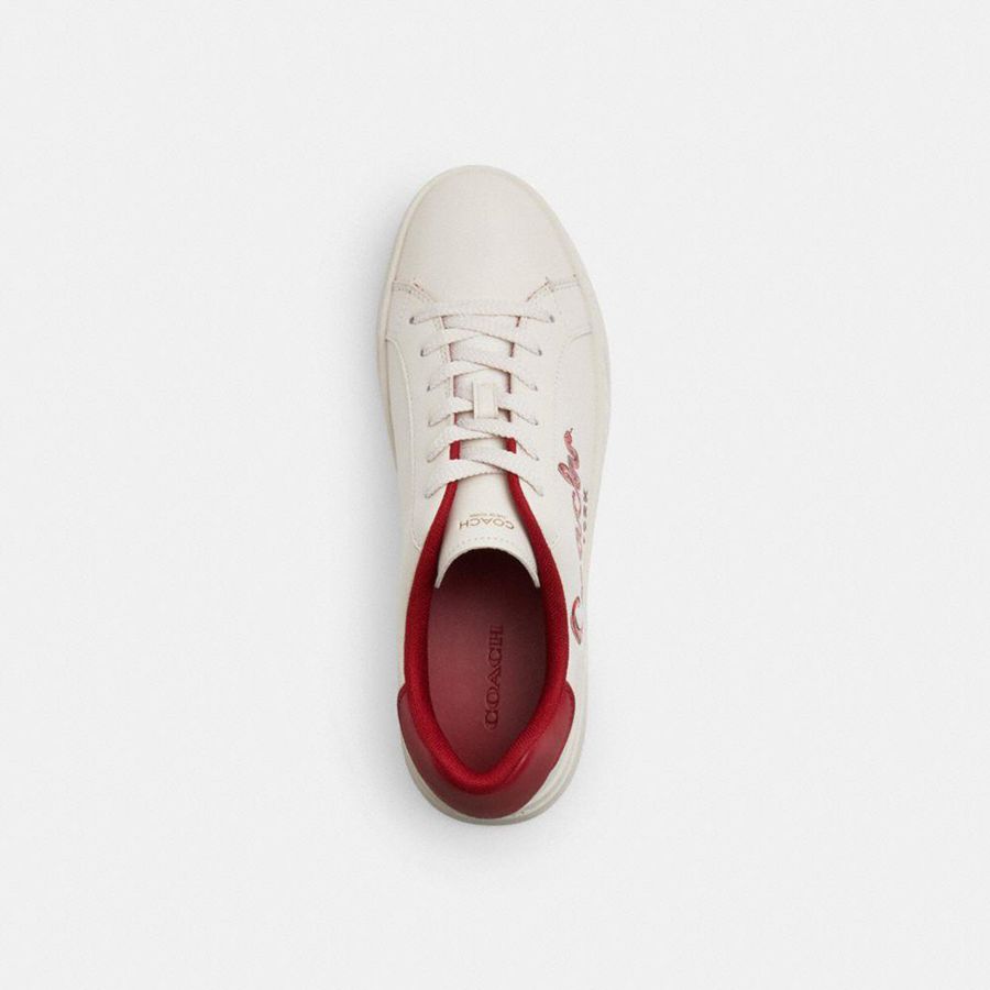 Tenis COACH New Year High Line With Coach Snake Script Feminino Branco | 72401RMJN