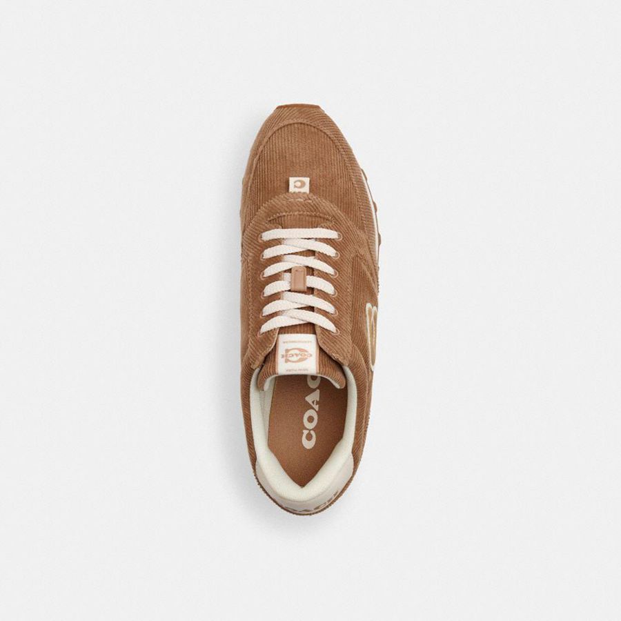 Tenis COACH Runner Masculino Marrom | 61905UDGC