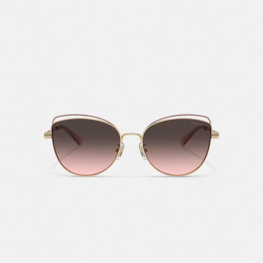 Óculos de Sol COACH Bandit Wire Oval Feminino Rosa | 39467MOIA