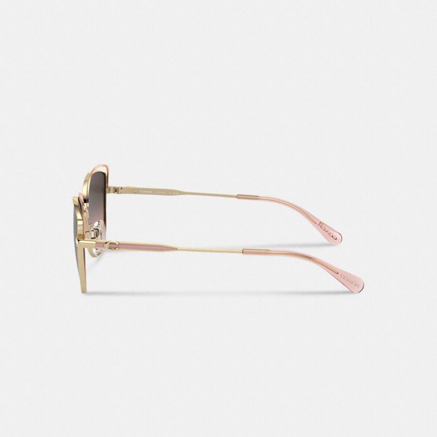 Óculos de Sol COACH Bandit Wire Oval Feminino Rosa | 39467MOIA