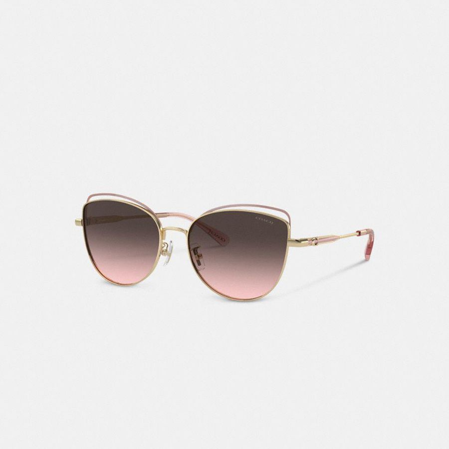 Óculos de Sol COACH Bandit Wire Oval Feminino Rosa | 39467MOIA
