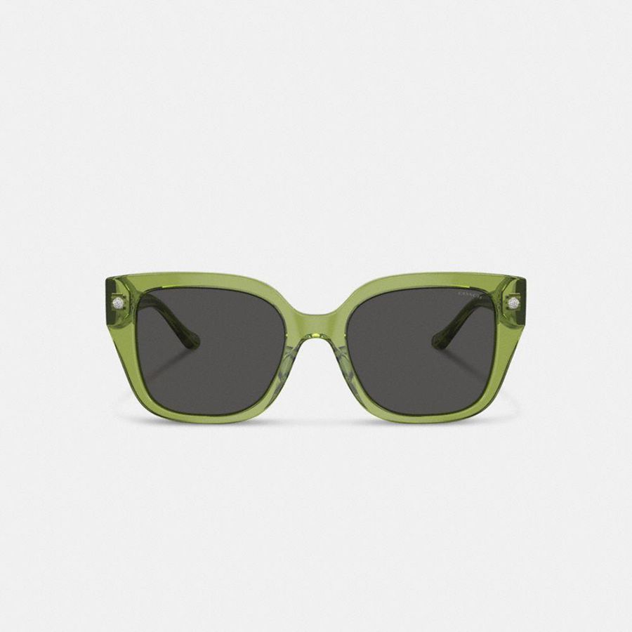 Óculos de Sol COACH Charms Oversized Square Feminino Verdes | 10549LOWP