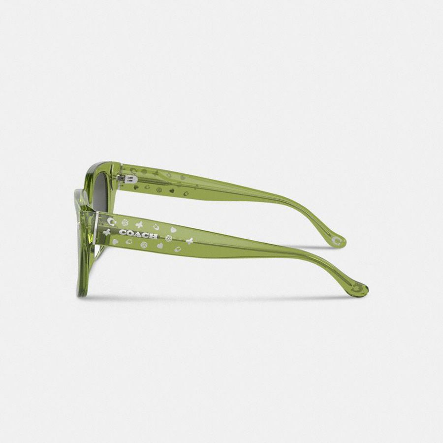 Óculos de Sol COACH Charms Oversized Square Feminino Verdes | 10549LOWP