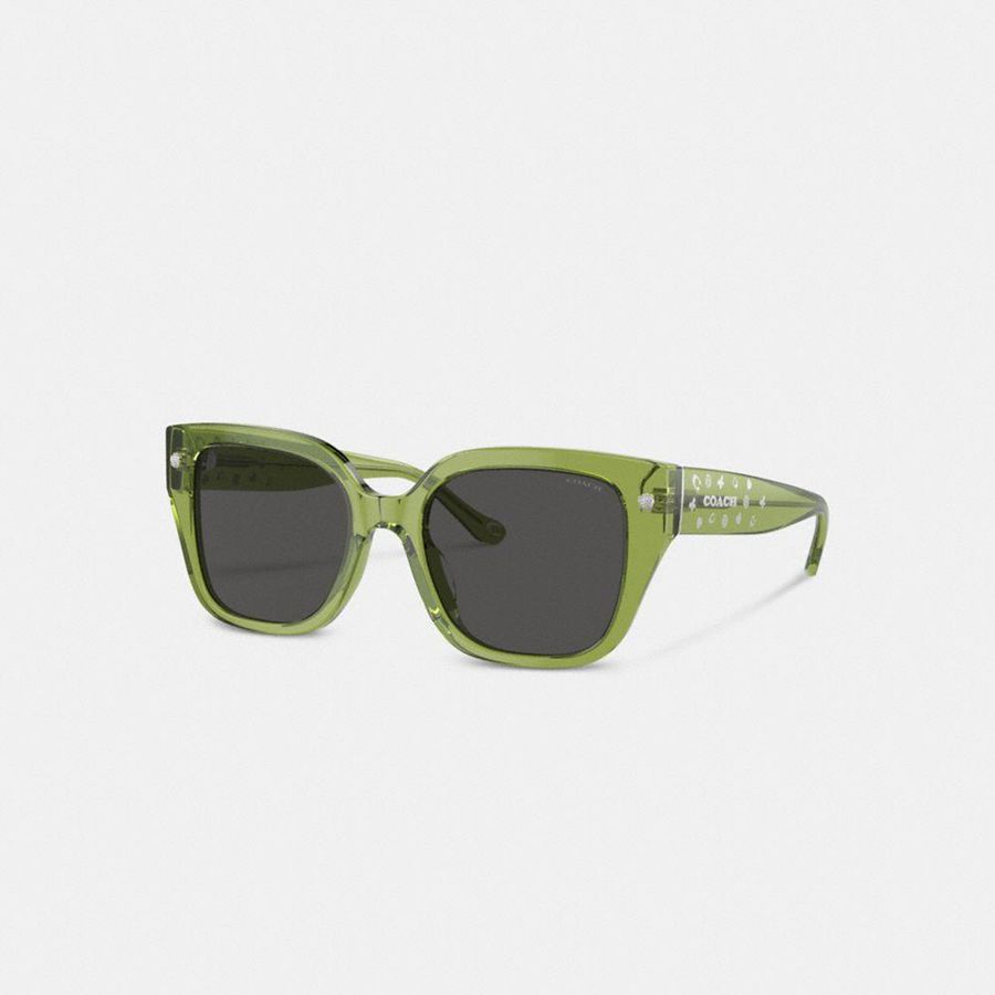 Óculos de Sol COACH Charms Oversized Square Feminino Verdes | 10549LOWP