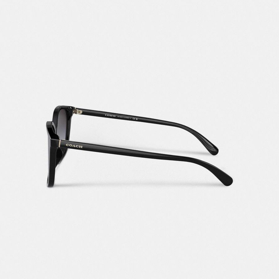 Óculos de Sol COACH Embedded Wire Square Feminino Pretas | 80461TYGX