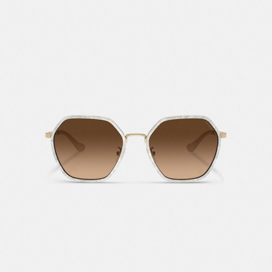 Óculos de Sol COACH Embellished Narrow Metal Hexagon Feminino Marrom | 74981ARGD