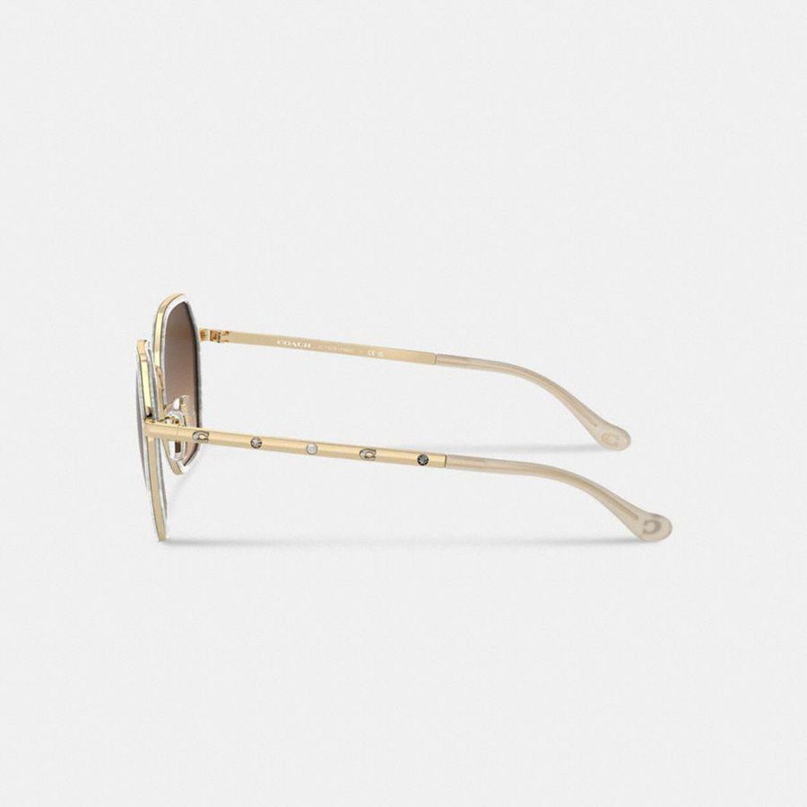 Óculos de Sol COACH Embellished Narrow Metal Hexagon Feminino Marrom | 74981ARGD