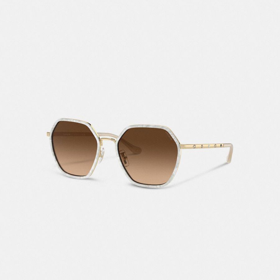 Óculos de Sol COACH Embellished Narrow Metal Hexagon Feminino Marrom | 74981ARGD