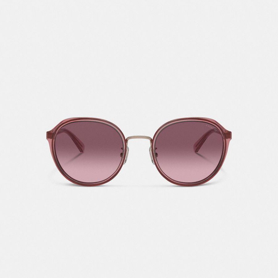 Óculos de Sol COACH Hangtag Geometric Round Feminino Rosa | 53690LDJW