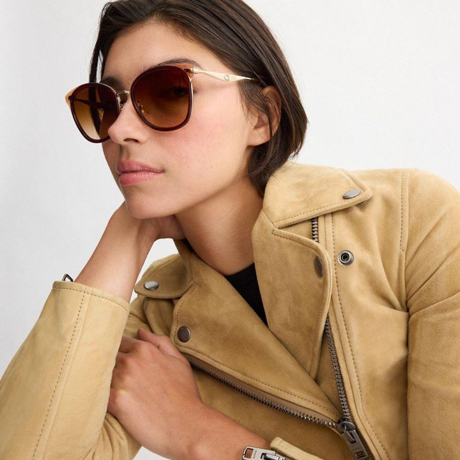 Óculos de Sol COACH Hardware Cat Eye Feminino Marrom | 56742MHDO
