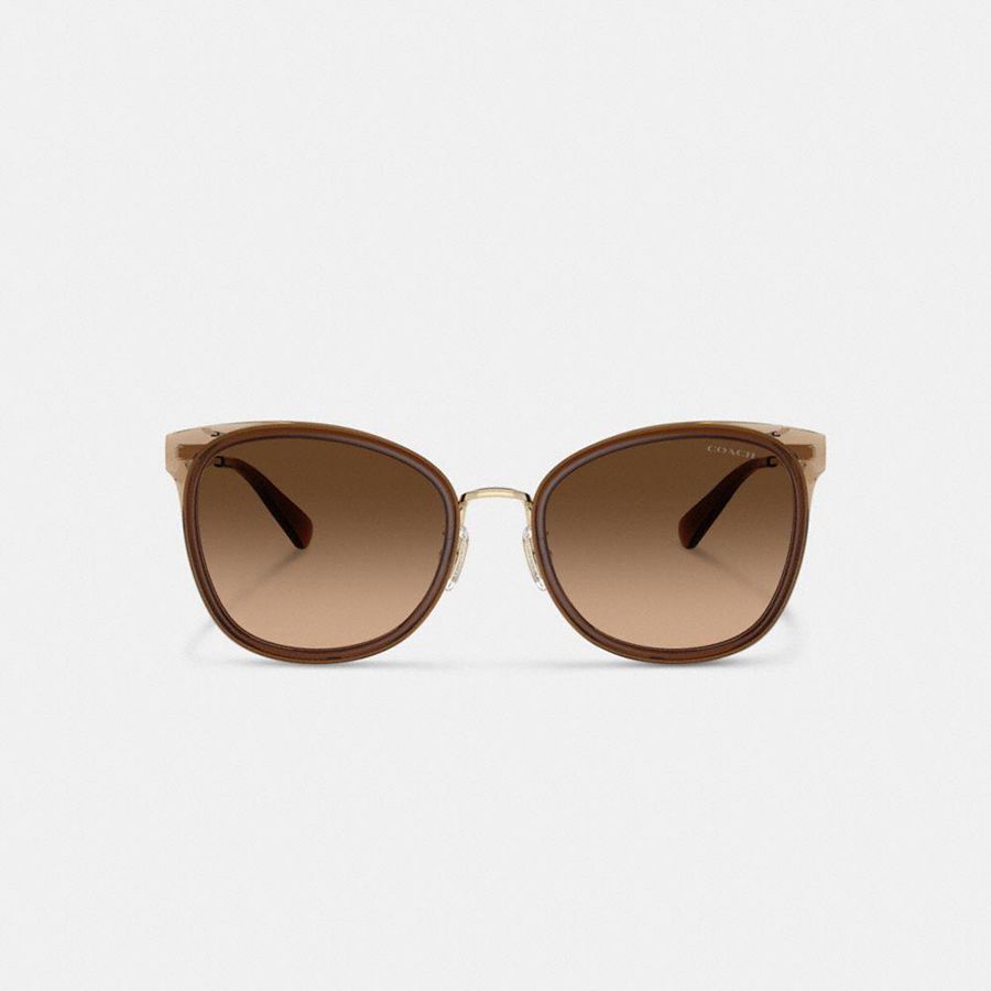 Óculos de Sol COACH Hardware Cat Eye Feminino Marrom | 56742MHDO
