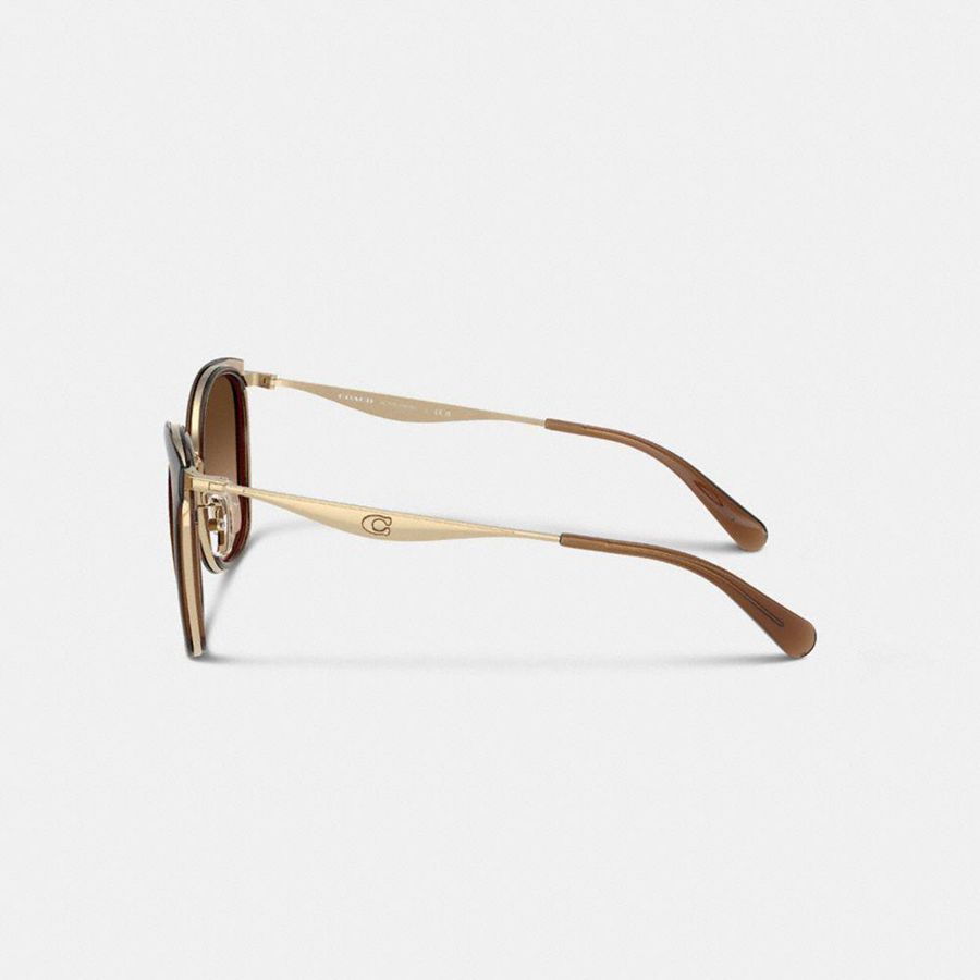 Óculos de Sol COACH Hardware Cat Eye Feminino Marrom | 56742MHDO