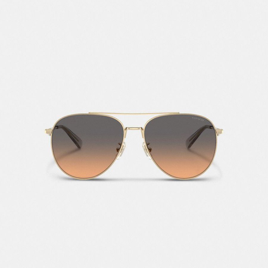 Óculos de Sol COACH Hardware Metal Pilot Feminino Pretas | 18597QDPF