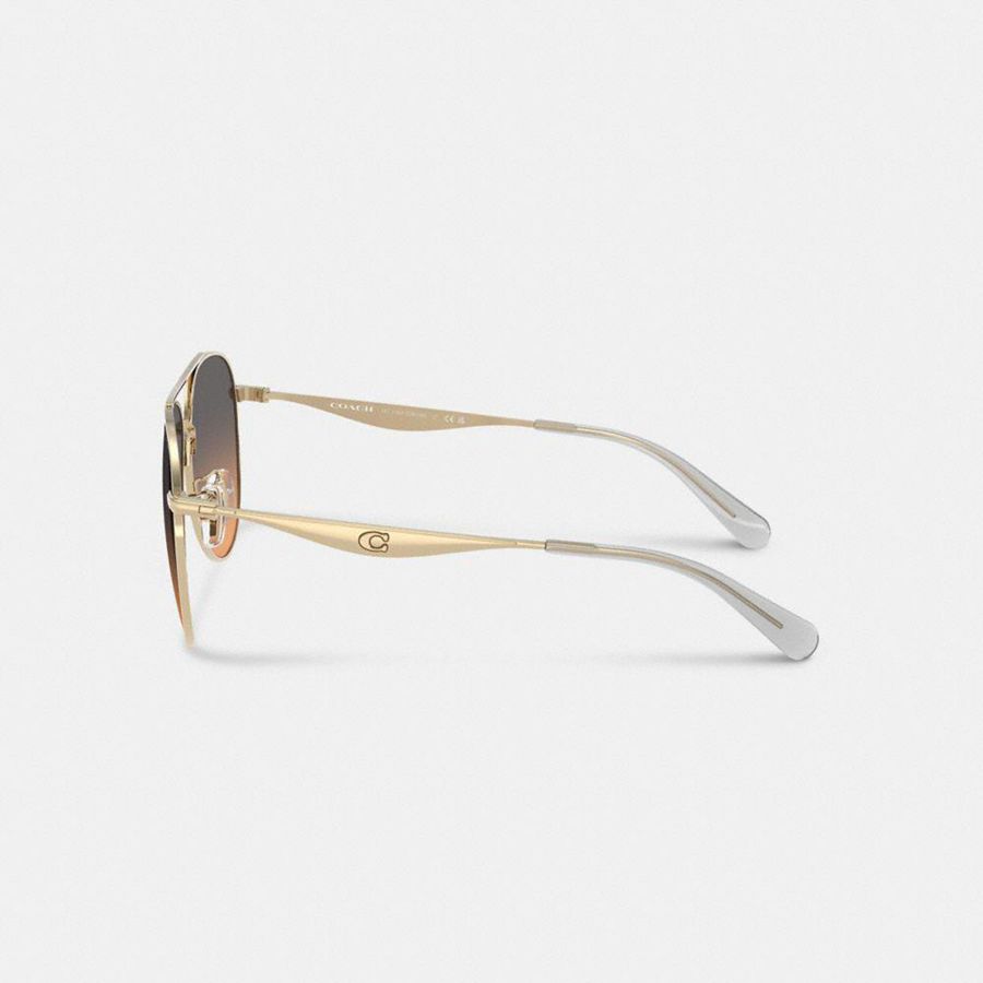 Óculos de Sol COACH Hardware Metal Pilot Feminino Pretas | 18597QDPF