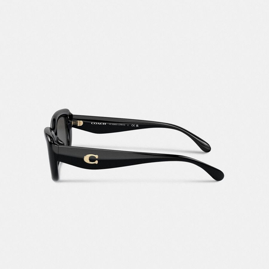 Óculos de Sol COACH Hardware Narrow Rectangle Feminino Pretas | 58269UXZW