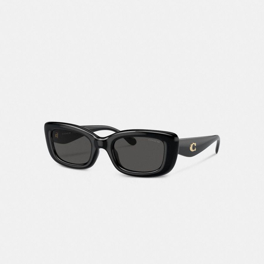 Óculos de Sol COACH Hardware Narrow Rectangle Feminino Pretas | 58269UXZW