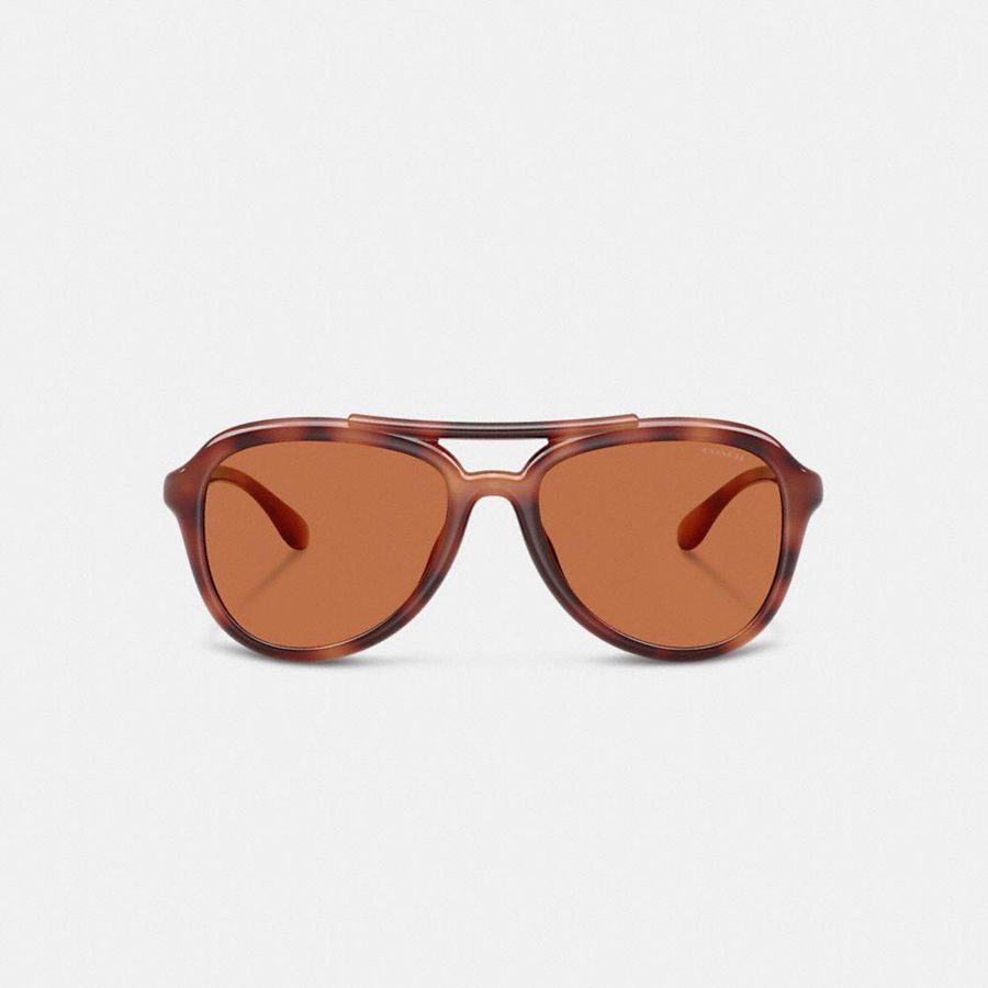 Óculos de Sol COACH Hardware Pilot Feminino Marrom | 74623FQDJ