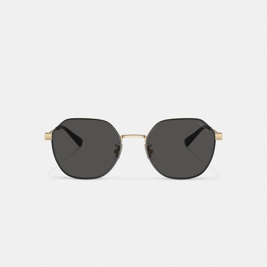 Óculos de Sol COACH Hinged Geometric Round Masculino Pretas | 60859CIZV