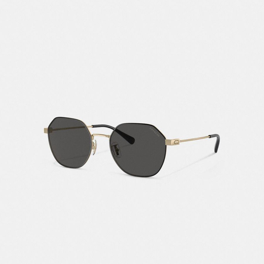 Óculos de Sol COACH Hinged Geometric Round Masculino Pretas | 60859CIZV